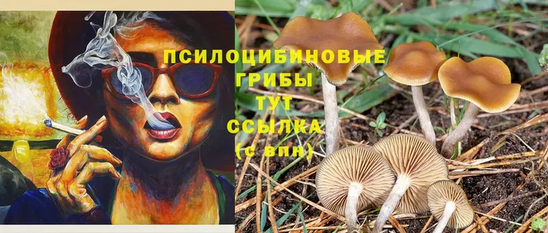 Галлюциногенные грибы Magic Shrooms  Североморск 